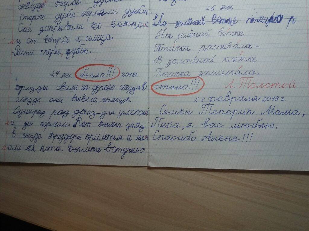 Светлана Самосевич Отзыв 2 Приложение